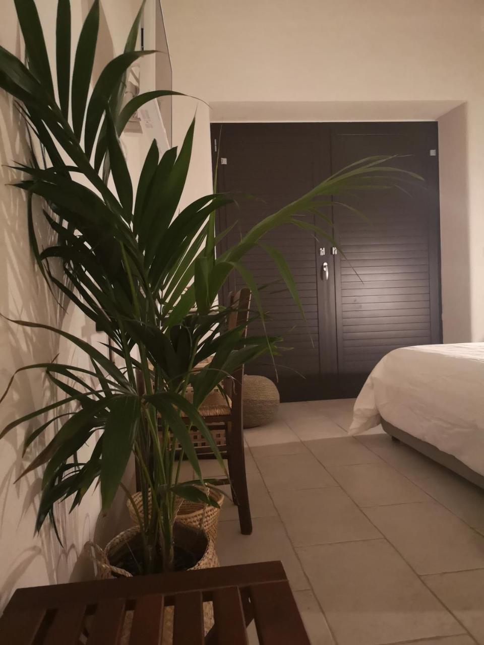 B&B Villa Rosalia Procida Bagian luar foto